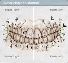 notation cory palmer picture 2 bottom right